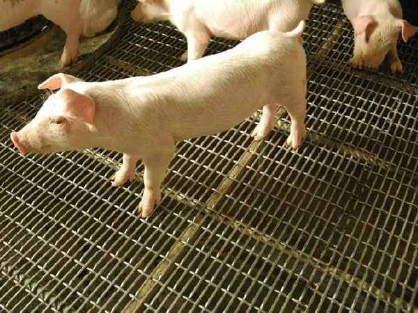 应用案例